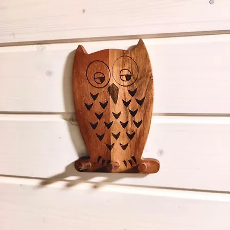 The Little Owls Nest