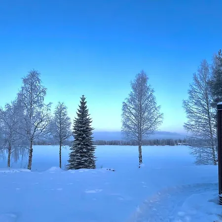 The Little Owls Nest *